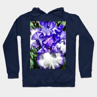 Classic Look Iris Closeup Hoodie